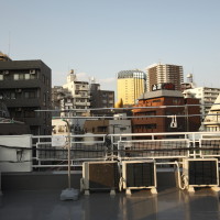 Rooftop_Samurai Photo