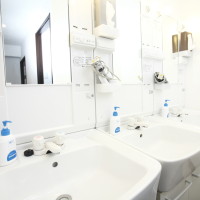 Vanity sinks with hair dryers